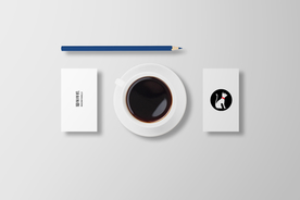 VI产品logo包装样机