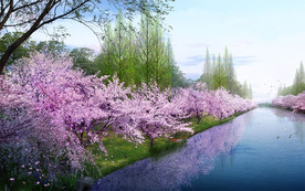 运河护坡绿化 效果图