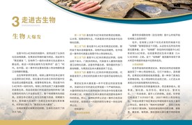 展板 生物大爆发寒武纪 古生物