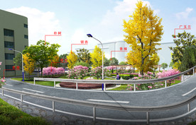 学校校园园林景观绿化效果图