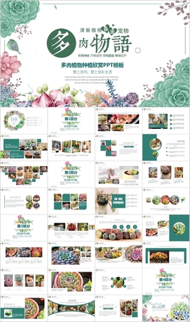绿色多肉植物养殖绿色欣赏PPT