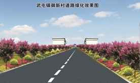 马路绿化