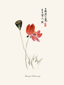 莲花