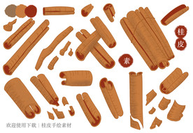 桂皮素材