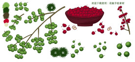 花椒手绘素材