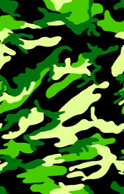 迷彩风豹纹效果