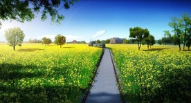 花卉主题旅游规划效果图