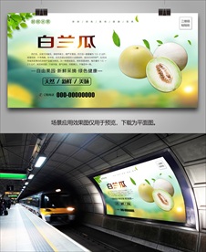 白兰瓜采摘海报灯箱展板展架挂画