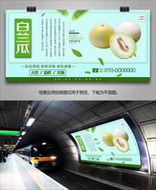 美味白兰瓜海报灯箱展板展架挂画