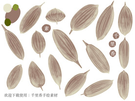 千里香手绘素材