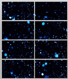 蓝色粒子背景视频