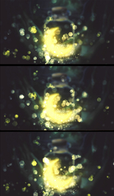 唯美许愿瓶光斑背景视频.