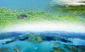 自然生态鸟语花香咸宁山水风光