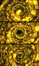 4K金色粒子波动背景视频