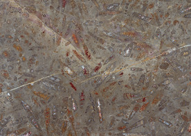 高清天然石材贴图瓷砖化石