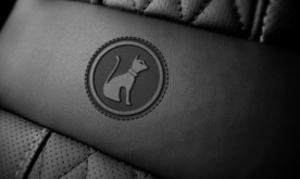 品牌logo皮革样机