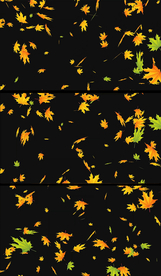 带通道枫叶飘落视频素材