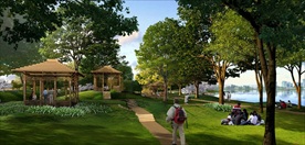 园林景观分层psd