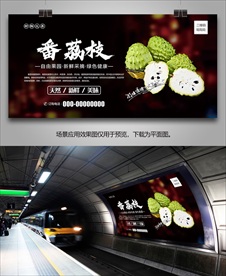 番荔枝展板海报单页挂画灯箱展架