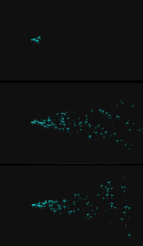 透明通道蒲公英视频素材