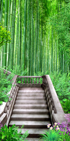 清新竹林木板路过道3D玄关