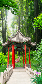 树林景观路客厅过道3D玄关