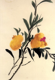 石榴水墨画