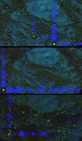 三维地图地脉特效背景视频