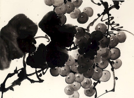 中国画葡萄
