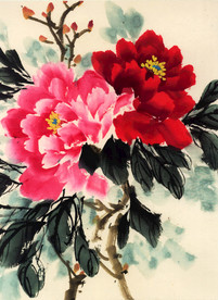 花开富贵牡丹国画