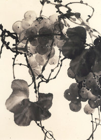 葡萄水墨画