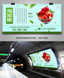 海棠果展板展架单页易拉宝挂画