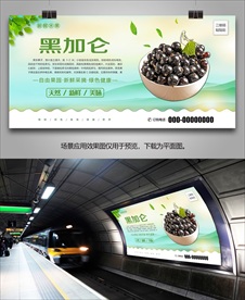 黑加仑海报单页易拉宝展架灯箱