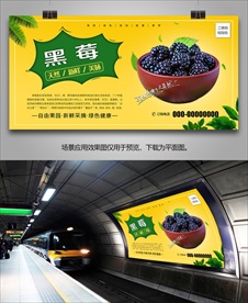 新鲜黑莓灯箱展板易拉宝展架海报
