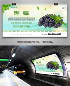 新鲜黑莓海报挂画展架单页展板