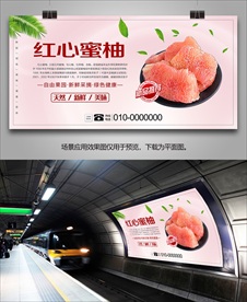 红心蜜柚展架灯箱易拉宝挂画单页