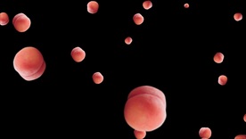 带通道掉落草莓背景水果水果下落