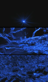 蓝色梦幻大树舞台特效背景