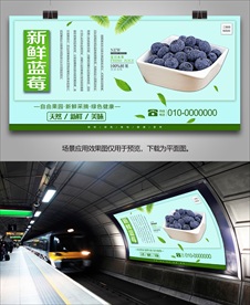 蓝莓展板灯箱海报展架单页挂画