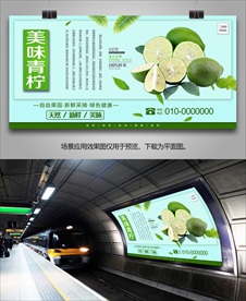 青柠挂画展架易拉宝单页灯箱海报