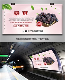 桑葚易拉宝灯箱展架展板单页挂画