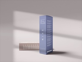 大气盒子外包装贴图样机