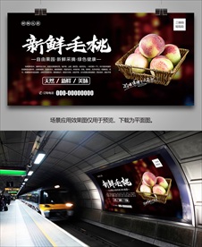 毛桃灯箱单页挂画展板海报易拉宝