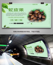 蛇皮果灯箱展板单页展架海报