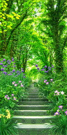 树林小路玄关背景墙背景画