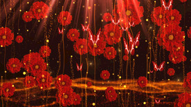 牡丹红花蝴蝶飞舞 舞美背景视频