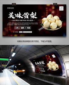 雪梨挂画海报易拉宝灯箱展板单页