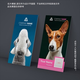 宠物名片