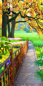 森林树林阶梯玄关风景画背景墙