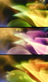 炫丽花朵婚庆背景视频素材